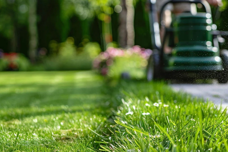 best electric cordless mowers